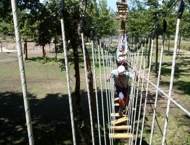  Crossing a rope bridge in unison 
